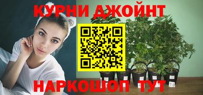 гидра Шебекино
