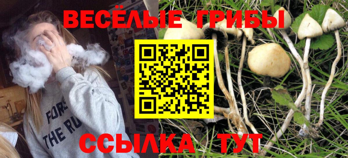Галлюциногенные грибы MAGIC MUSHROOMS  Галлюциногенные грибы мухоморы  Горно-Алтайск  Вход с VPN 